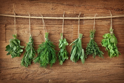 Faire scher les plantes mdicinales