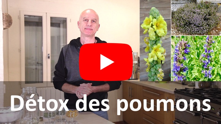 Complément Alimentaire Poumon Blanc - Nettoyage Et Santé Respiratoire (Taoters)