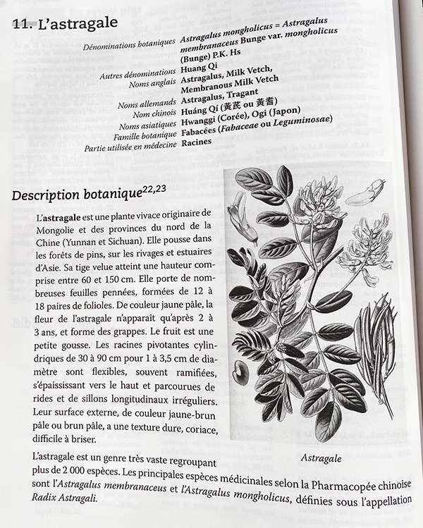 Précis de phytothérapie essais de thérapeutique par les plantes