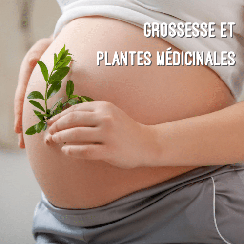 Femme enceinte avec une branche de plante sur le ventre