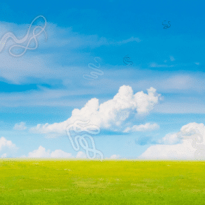paysage avec des "mouches" devant les yeux